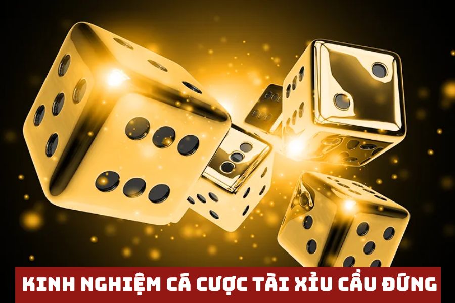 ap dung meo ca cuoc tai xiu theo cau dung