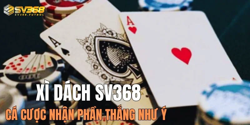 xi dach sv368